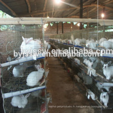 cages de lapin bon marché / cage de lapin avec l&#39;équipement agricole de buveur automatique